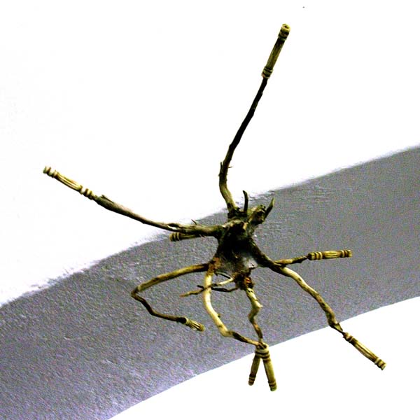 07_spider