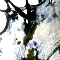 09_kunstdarm