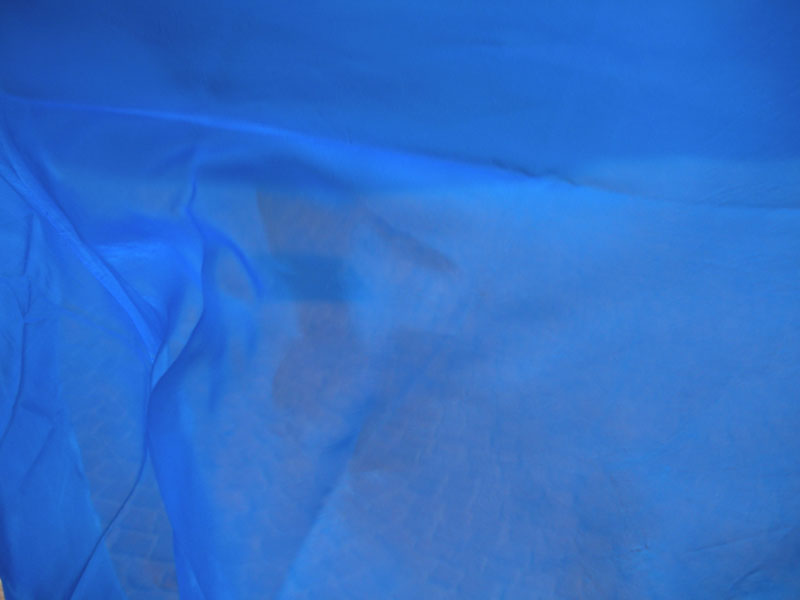 16_DSCN5422