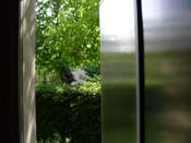 04_lichteinfall