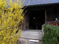 08_gorintschach