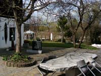 29_gorintschach