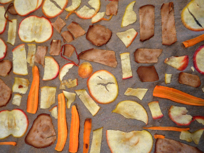 05_obstchips
