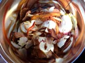20_obstchips