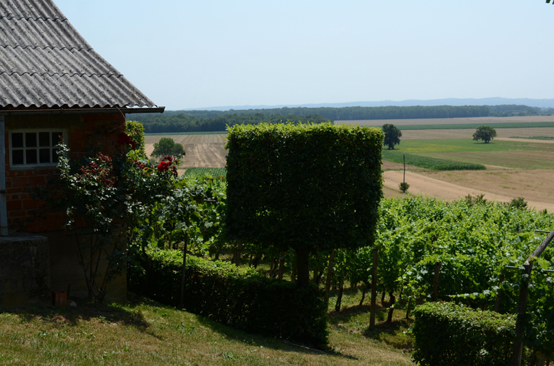 2012_07_04_1149__dobrovnik