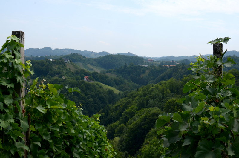 2012_07_05_1222__haloze__slatina