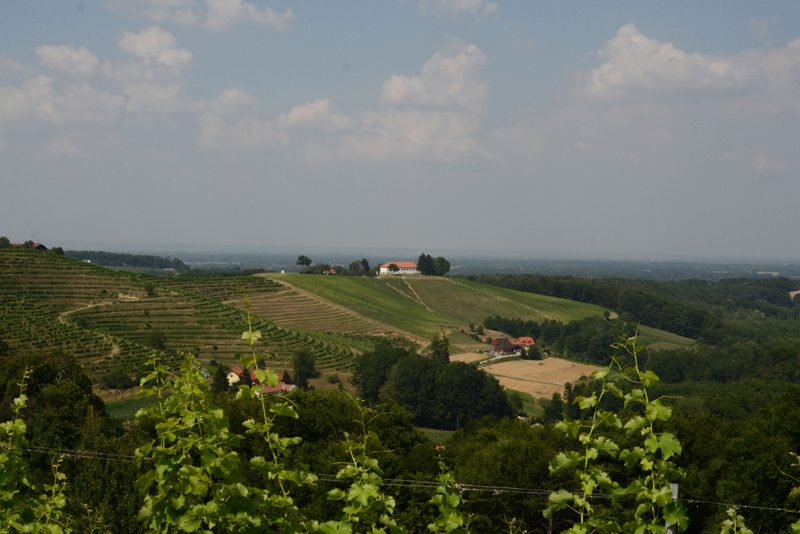 2012_07_05_1524__dvorec_zelezne_dveri