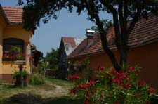 2012_07_04_1317__kobilje
