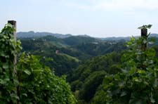 2012_07_05_1222__haloze__slatina