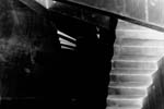steinhaus_11