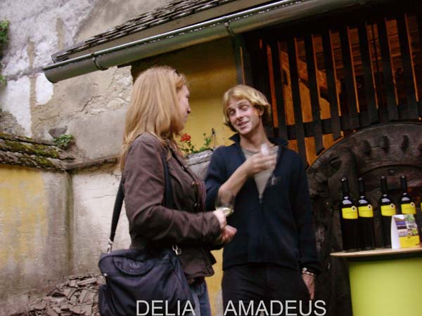 17_delia_amadeus