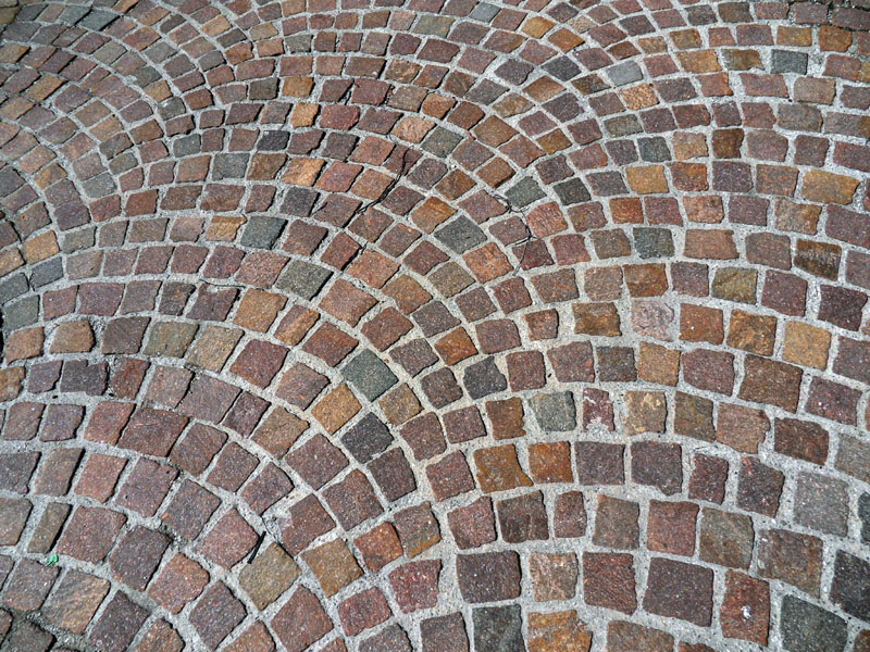 35_SDC10339